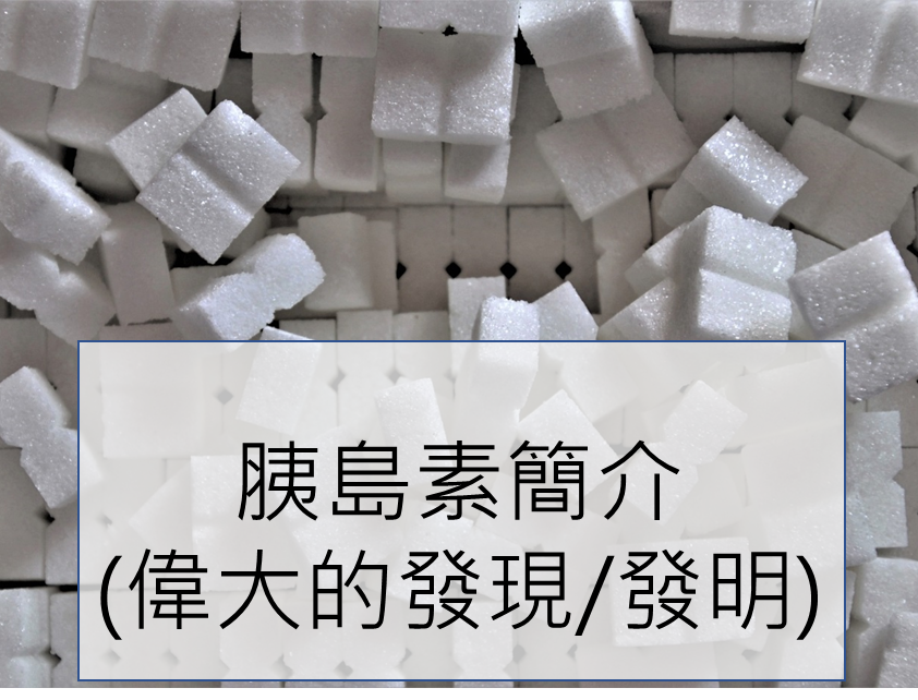 【糖尿病】胰島素簡介